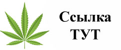 Купить наркотики в Ижевске